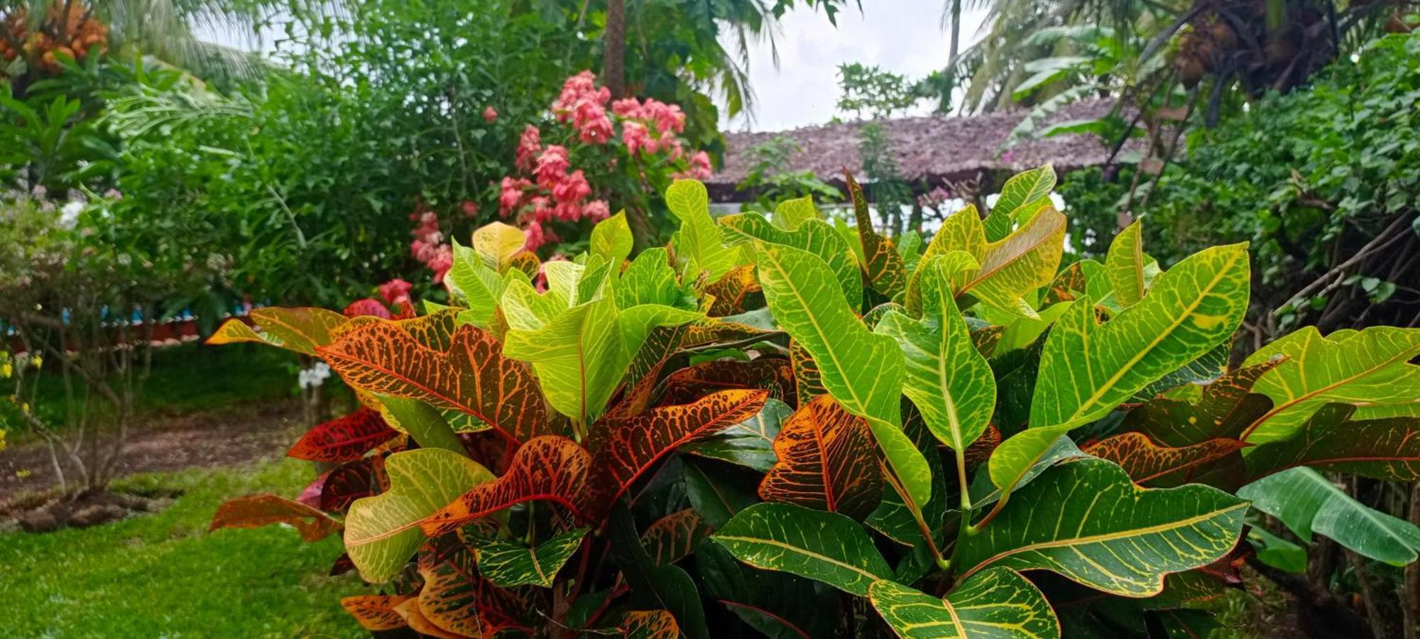 Piscine Bimoko Hotel Nosy Be Exterior photo