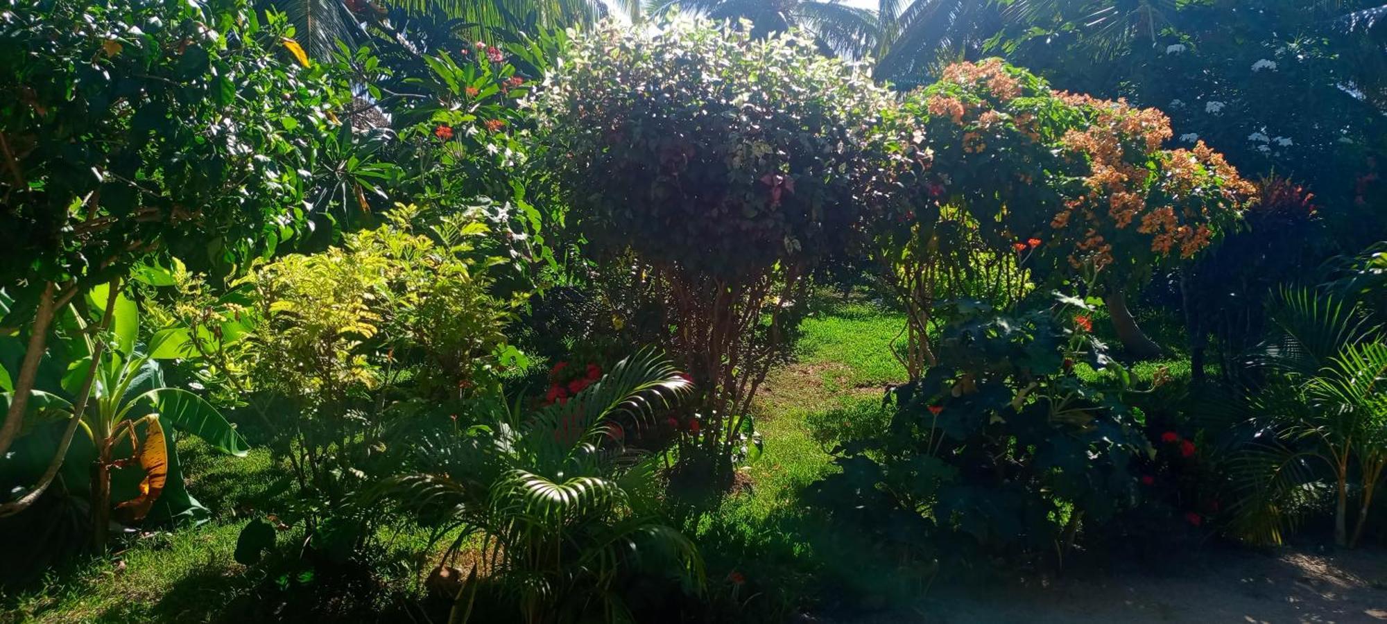 Piscine Bimoko Hotel Nosy Be Exterior photo